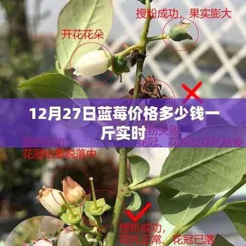 见仁见智 第2页