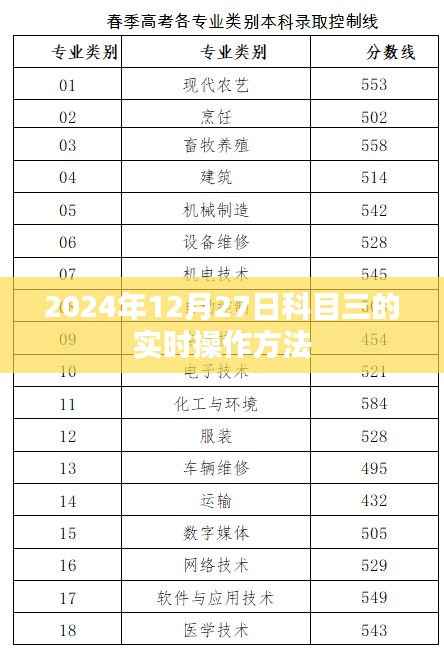 关于科目三的实时操作方法(2024年12月27日)