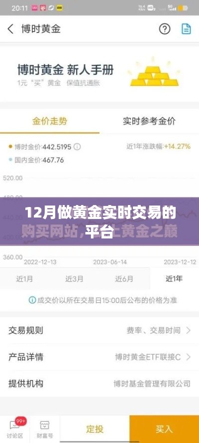 黄金实时交易平台,把握交易机遇的首选