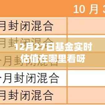 12月27日基金实时估值查看指南