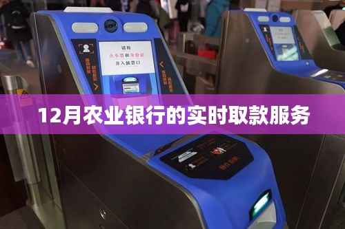 农业银行实时取款服务介绍