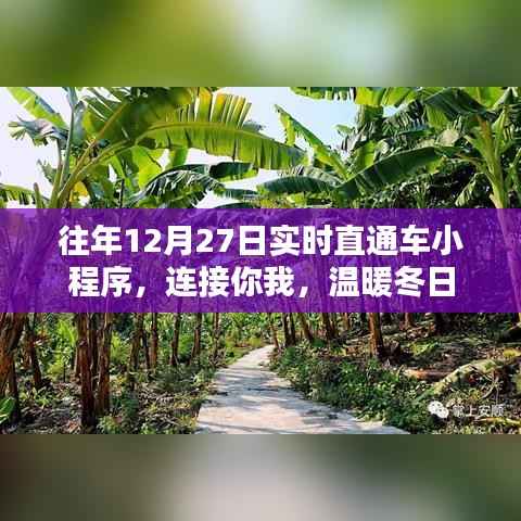 直通车小程序,连接你我,冬日暖心之选