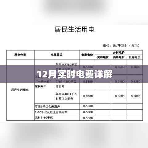 12月实时电费解析