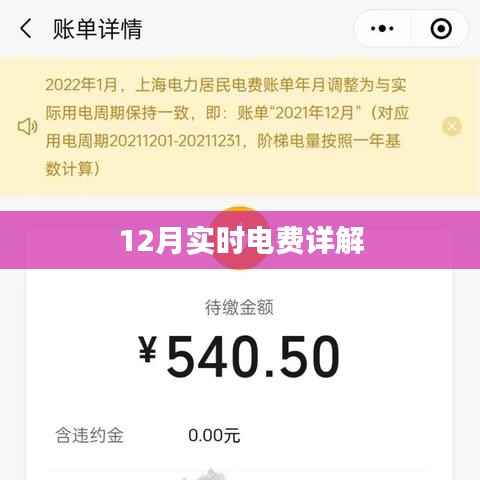 12月实时电费解析