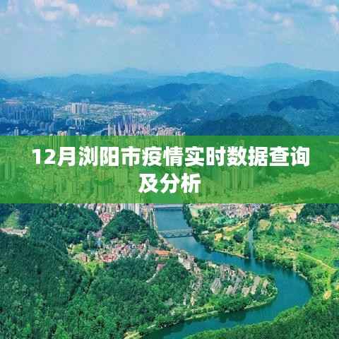 浏阳市12月疫情实时数据查询与深度分析