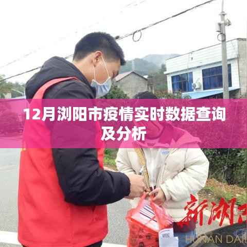 浏阳市12月疫情实时数据查询与深度分析