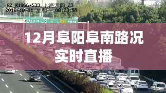 阜阳阜南路况实时直播,最新路况信息掌握在手