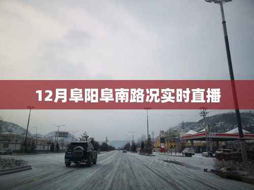 阜阳阜南路况实时直播,最新路况信息掌握在手