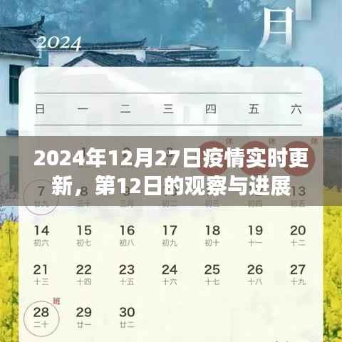 2024年疫情观察，第12日实时更新与进展分析