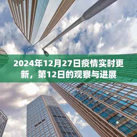 2024年疫情观察,第12日实时更新与进展分析