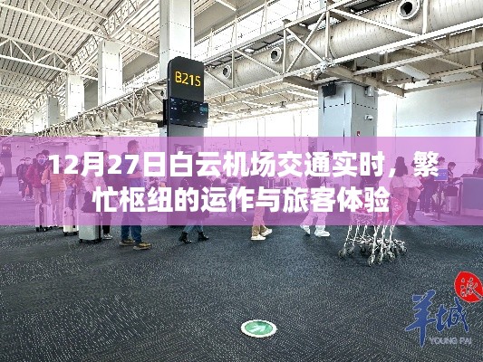 白云机场交通实时状况与旅客体验报道