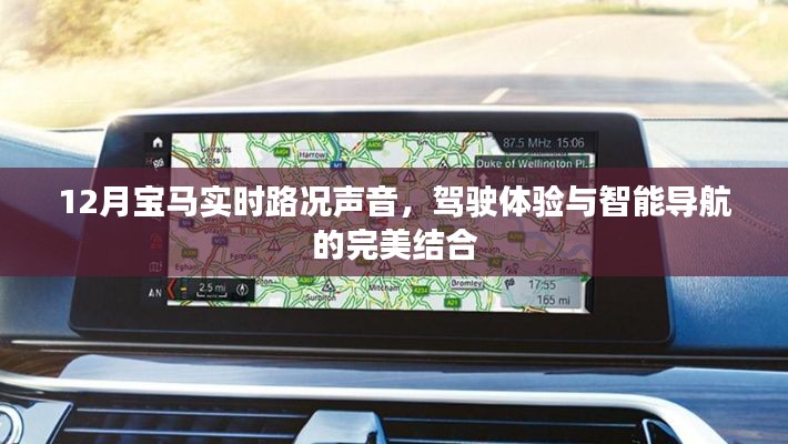 宝马实时路况语音导航,驾驶体验的智能升级