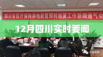 四川时事热点速递,本月要闻回顾
