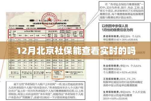 北京社保实时查询功能介绍
