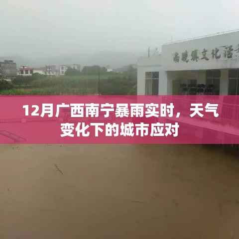 广西南宁暴雨实时更新,城市如何应对天气变化挑战