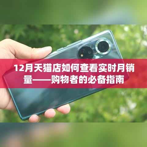 天猫店实时月销量查看攻略，购物指南
