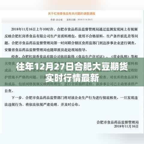 合肥大豆期货实时行情更新，历年12月27日最新动态