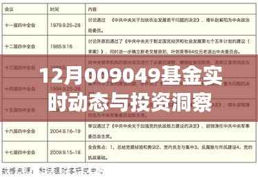 揭秘最新动态,12月009049基金投资洞察与实时走势