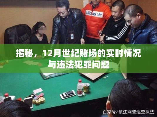 揭秘,世纪赌场最新动态与犯罪问题剖析