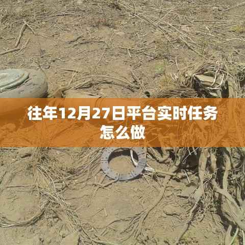 平台实时任务攻略,往年12月27日任务操作指南