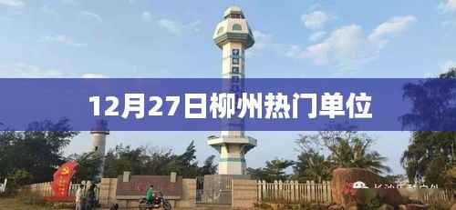 柳州热门单位招聘活动,盛大开启!