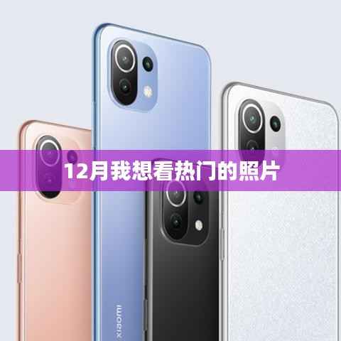 精选热门照片,不容错过!十二月摄影盛宴