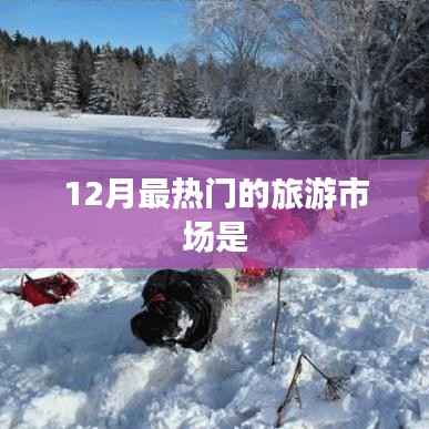 十二月旅游市场热门目的地