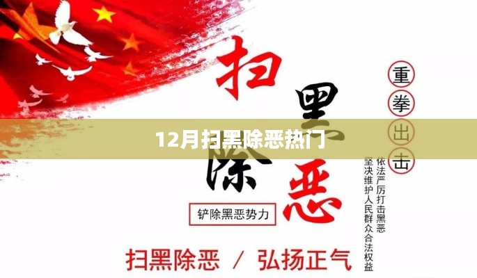 扫黑除恶热点解析