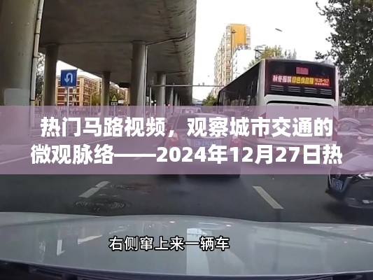 城市交通微观脉络观察,热门马路视频回顾
