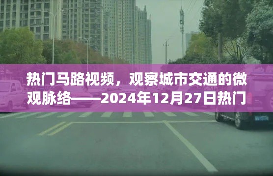 城市交通微观脉络观察,热门马路视频回顾
