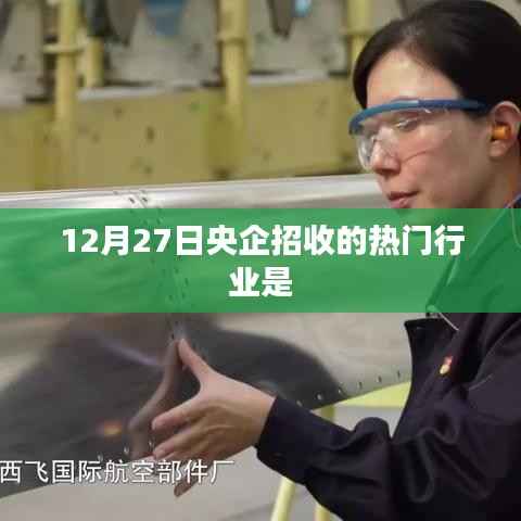 12月27日央企热门招收行业概览