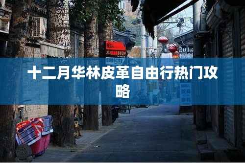 十二月华林皮革自由行指南