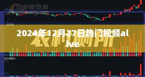 2024年12月27日热门视频盘点
