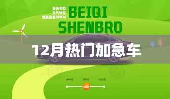 最新热门加急车服务来袭,12月不容错过