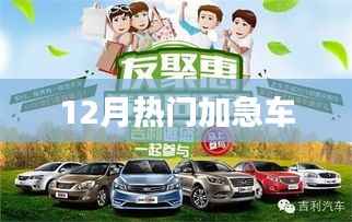 最新热门加急车服务来袭,12月不容错过