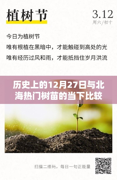 北海树苗当下与历史上的12月27日对比