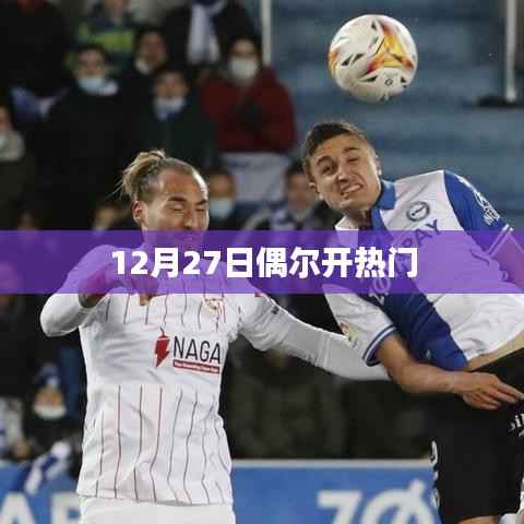 12月27日热点瞬间，热门事件回顾