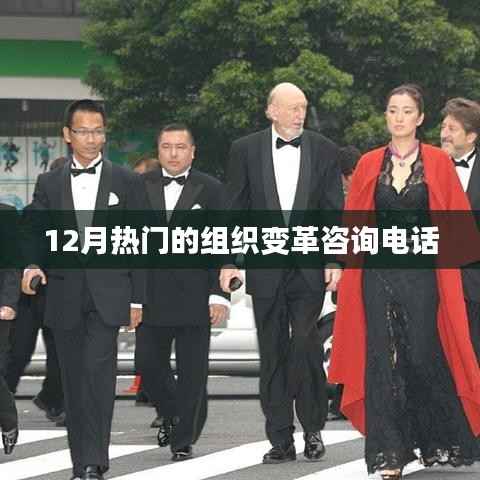 组织变革咨询热线,把握变革机遇,助力企业成长