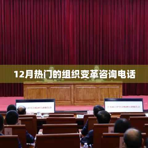 组织变革咨询热线,把握变革机遇,助力企业成长