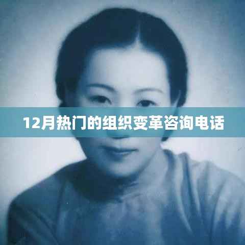 组织变革咨询热线,把握变革机遇,助力企业成长