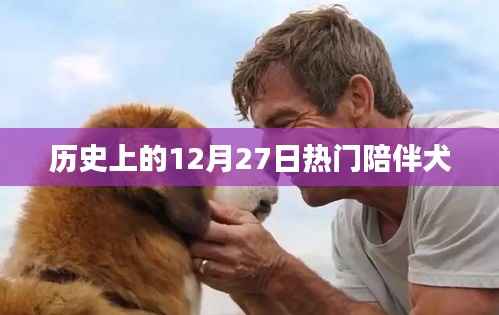 历史上的热门陪伴犬,犬类陪伴的温馨记忆
