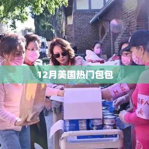 美国12月流行包包盘点