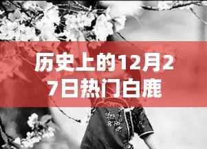 白鹿历史,揭秘十二月二十七日的热门事件