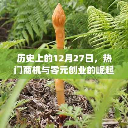 历史上的大商机,零元创业与热门商机崛起日回顾