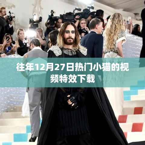 年终热门小猫视频特效免费下载