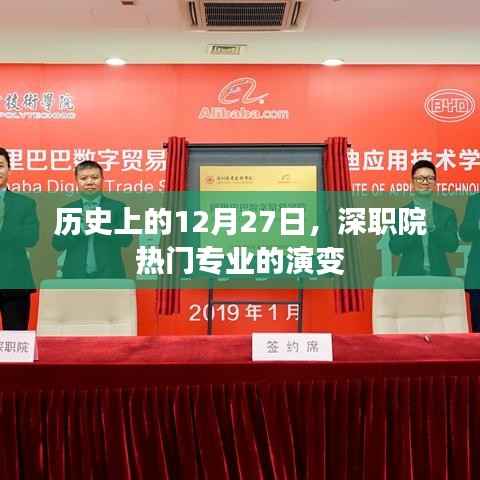 深职院热门专业历史演变,12月27日回顾