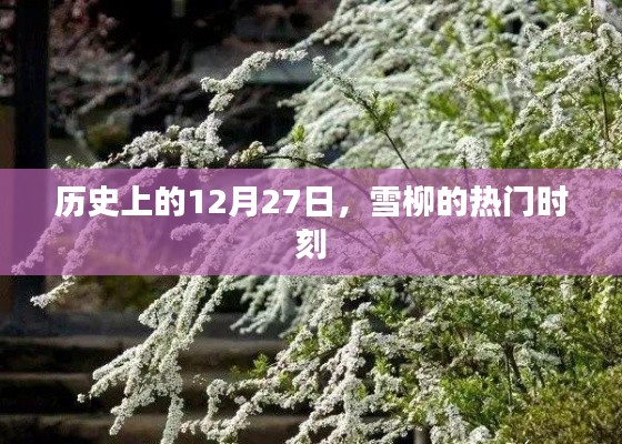 雪柳热门时刻,历史上的12月27日纪念