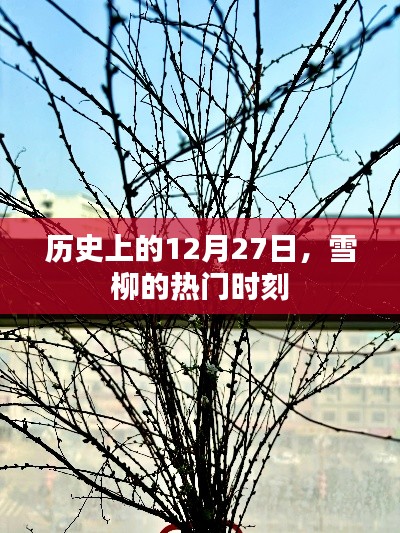 雪柳热门时刻,历史上的12月27日纪念
