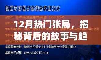 揭秘，张局背后的故事与趋势，十二月热门热点解析