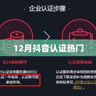 抖音认证热门榜单揭秘